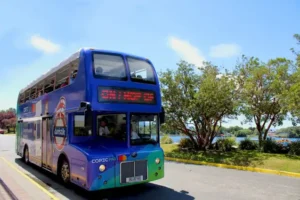 Bus turístico de dos pisos de TEM Turistik circulando por Santiago