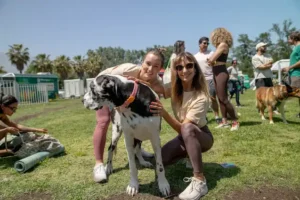 Dos mujeres sonríen junto a un gran danés blanco y negro en un evento ParquePet al aire libre.