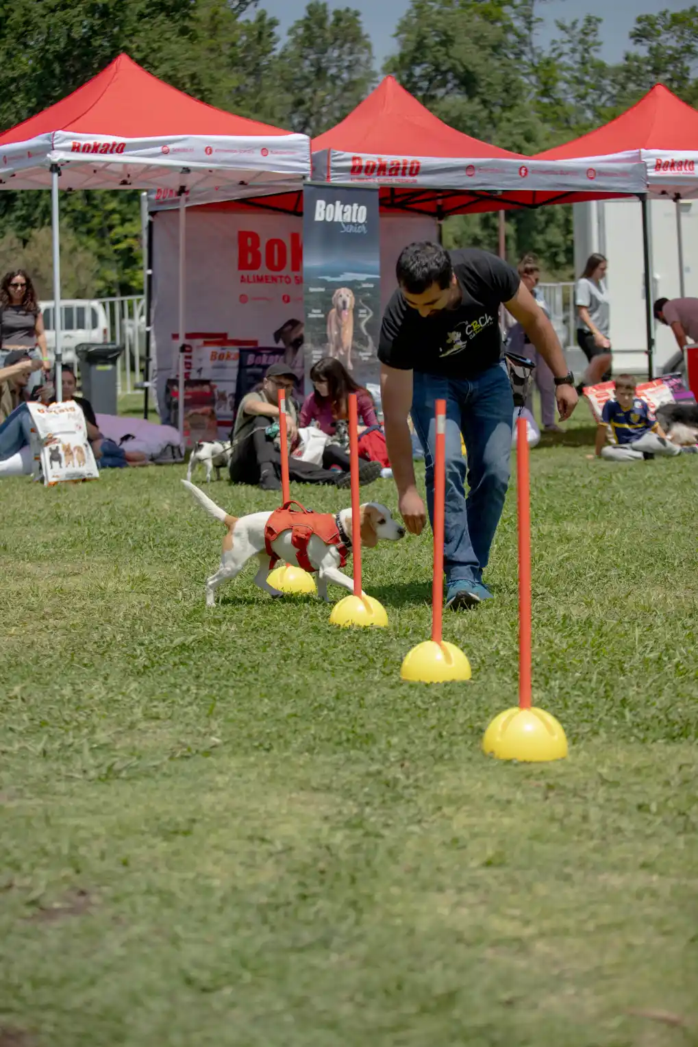 Mujer guía a su perro por un circuito de agilidad con obstáculos en el césped durante ParquePet.